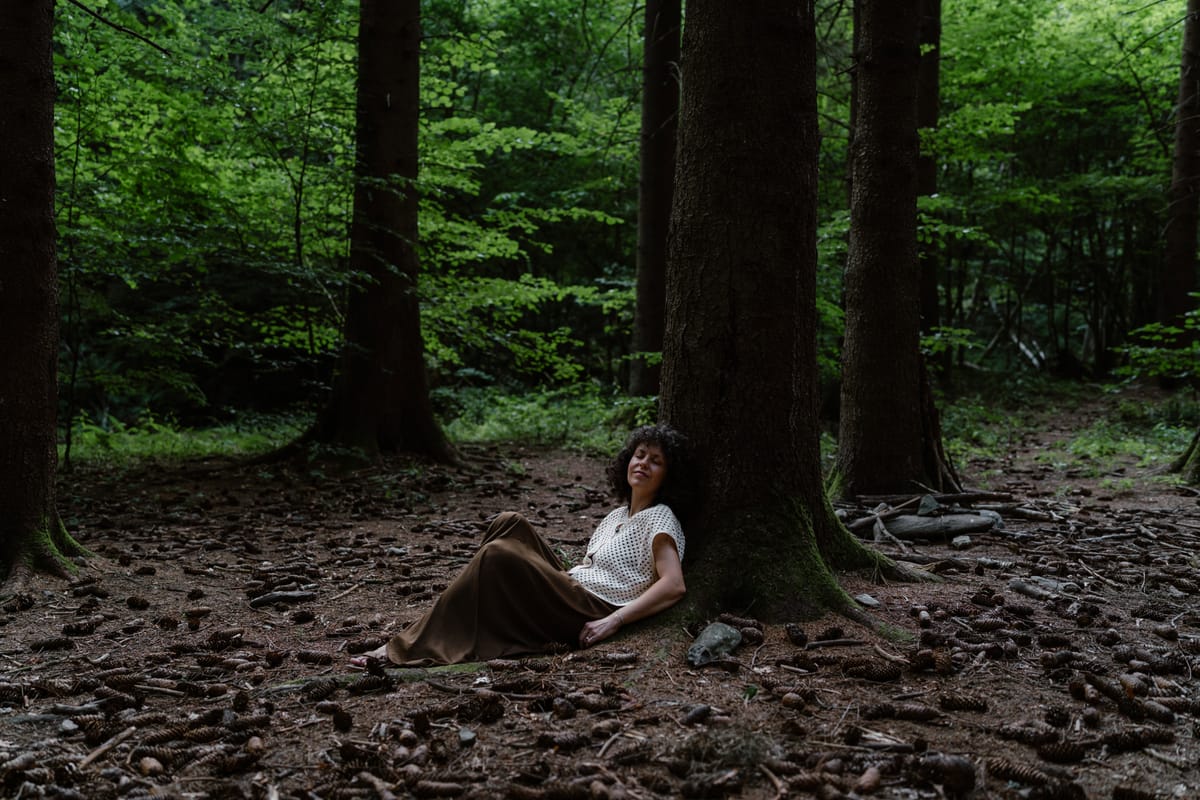 Sila jasnej prosby